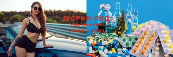 кокс Арсеньев