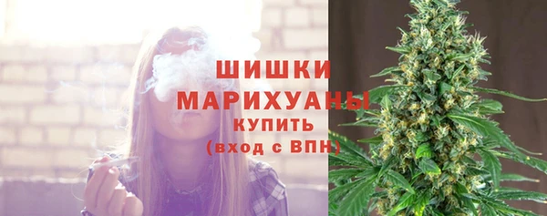 mdpv Рославль